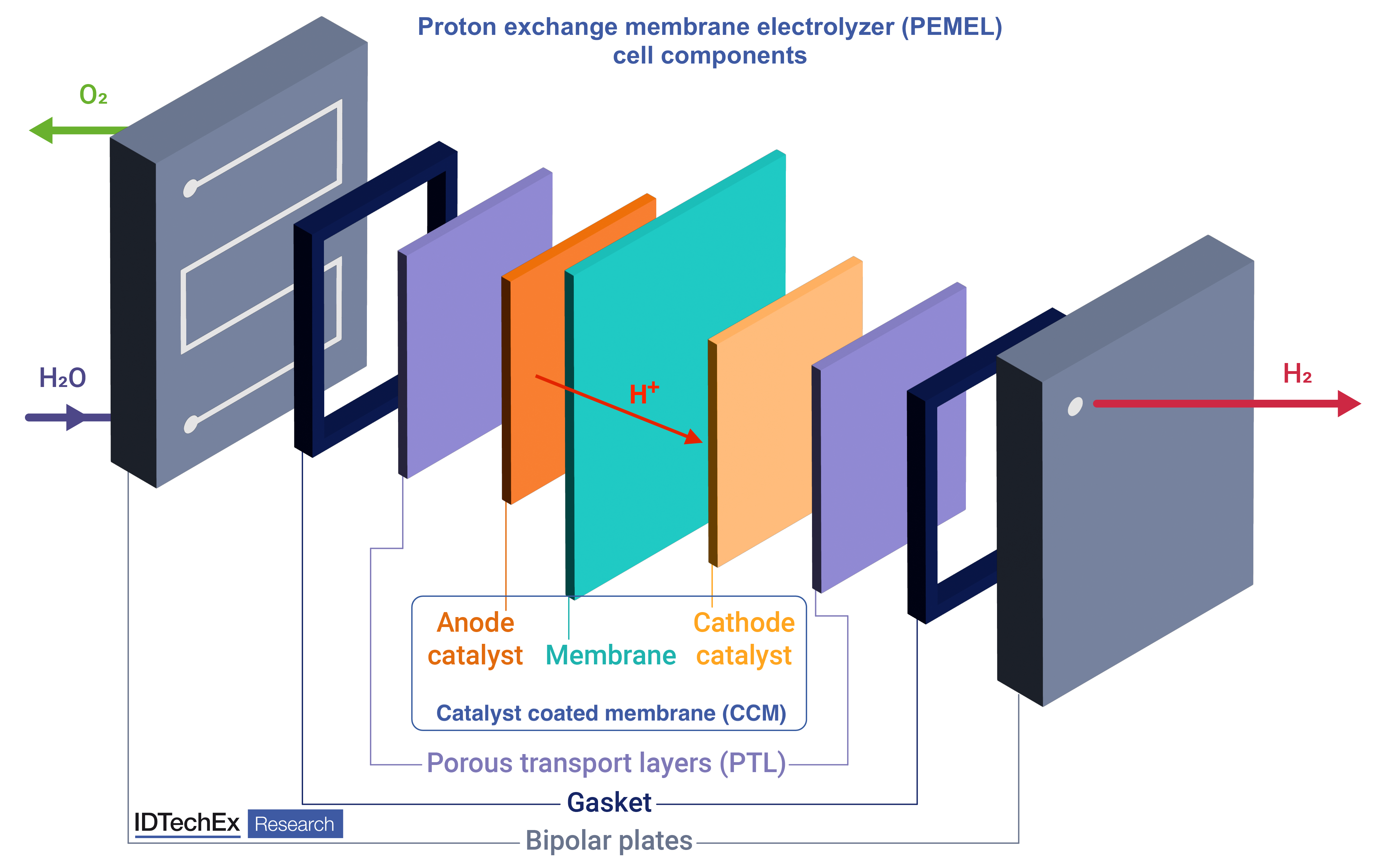 Simplified schematic of proton exchange membrane electrolyzer (PEMEL) cell components. Source IDTechEx.png